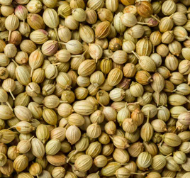 Coriander Seeds