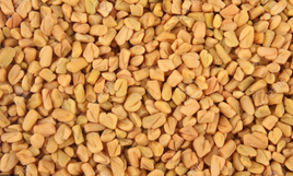 Fenugreek Seeds