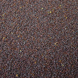 Mustard Seeds