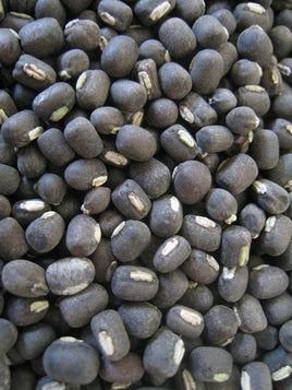 Urad Black Whole