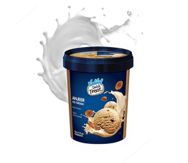 Vadilal Anjeer Ice Cream