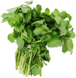 Watercress