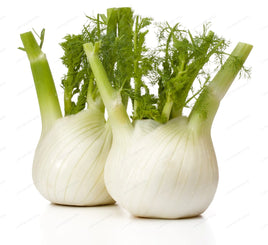 Fresh Fennel