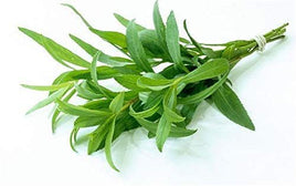 Fresh Tarragon