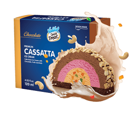 Vadilal Chocolate Cassatta Ice Cream