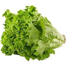 Green Leaf Lettuce