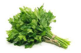 Italian Parsley