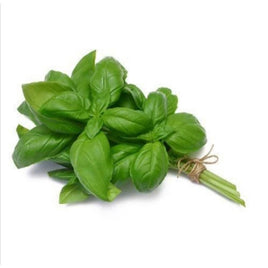 Fresh Basil