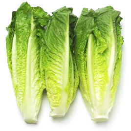 Romaine Lettuce Hearts